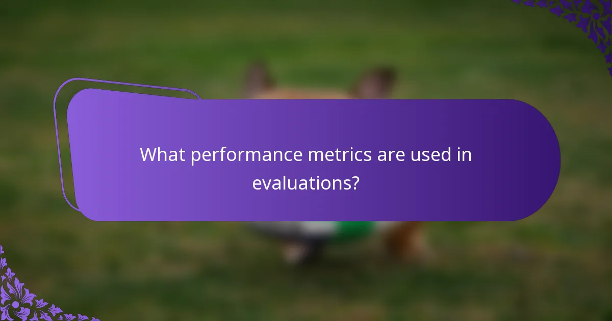 What performance metrics are used in evaluations?