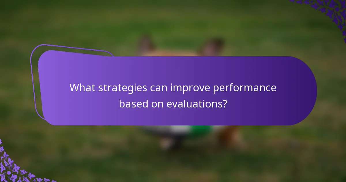 What strategies can improve performance based on evaluations?